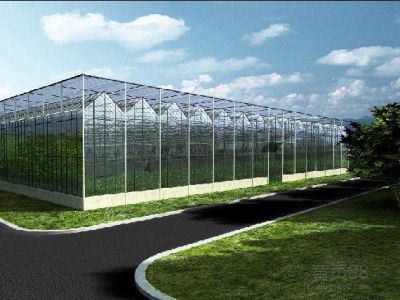 中国农业大学涿州基地现代化智能温室大棚项目中标喜讯