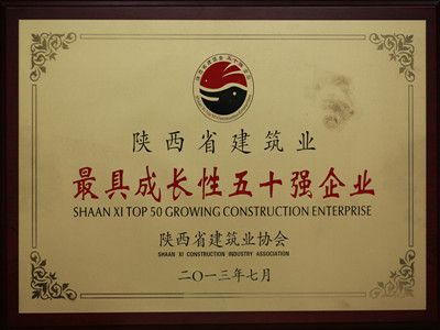 2013年陕西省建筑业最具成长性五十强企业