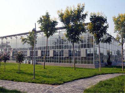 陕西曲江农业博览园农业展示温室
