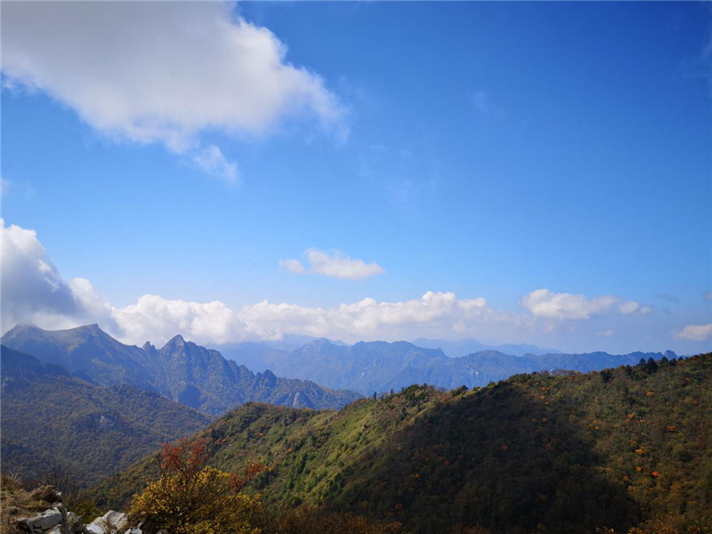 图片3_副本.png